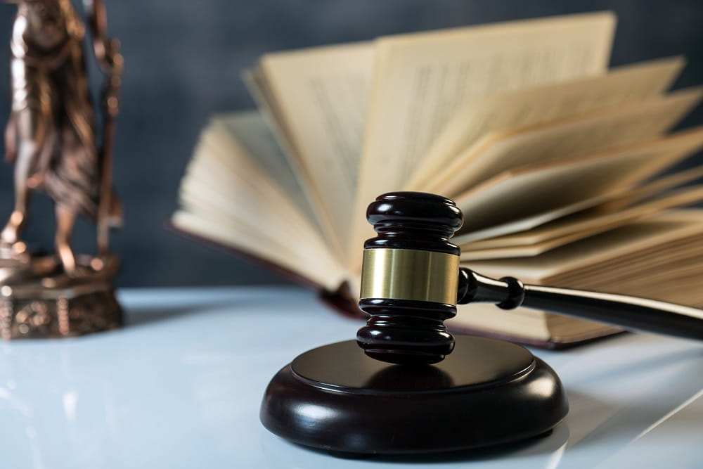 LA RESPONSABILITA' DEGLI ENTI AI SENSI DEL DLGS 231/2001